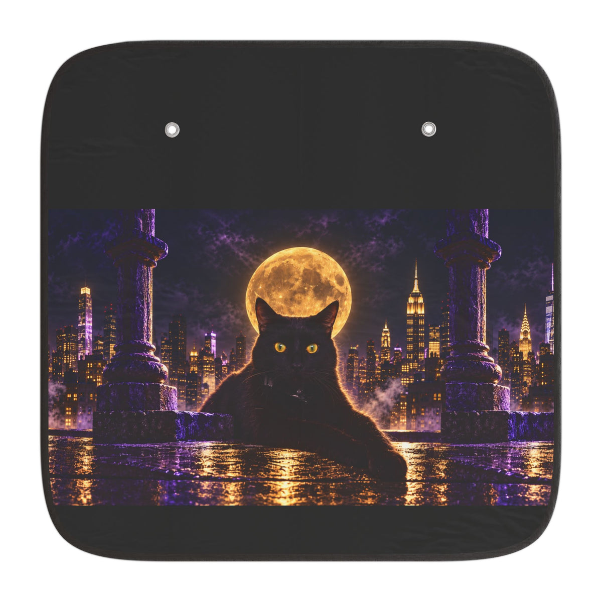 Midnight Cat NYC Car Sun